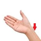 wrist1